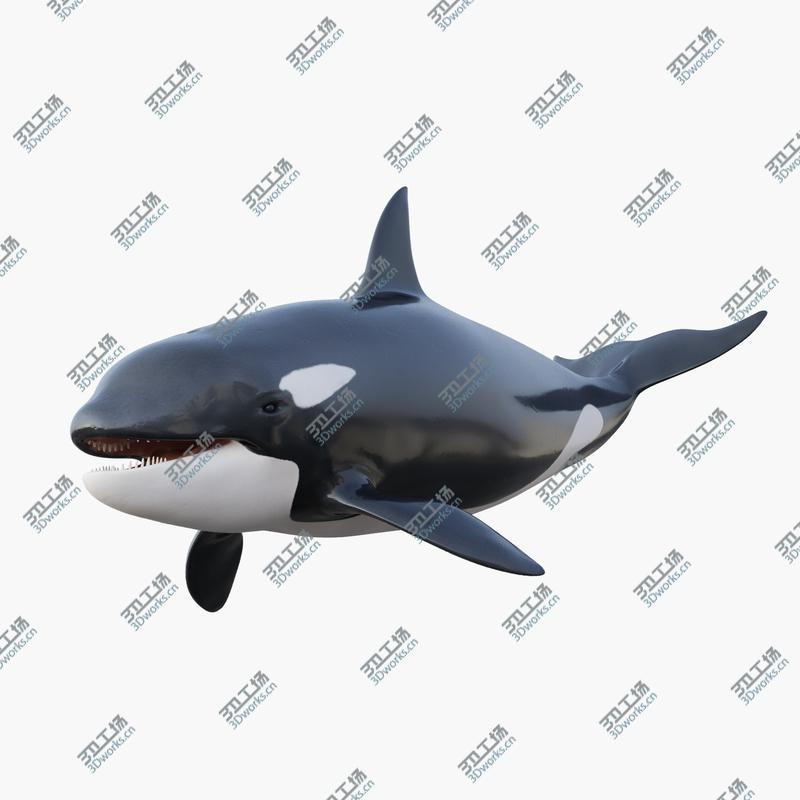 images/goods_img/2021040234/3D Animated Killer Whale model/1.jpg